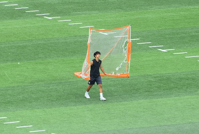 毛球事业的