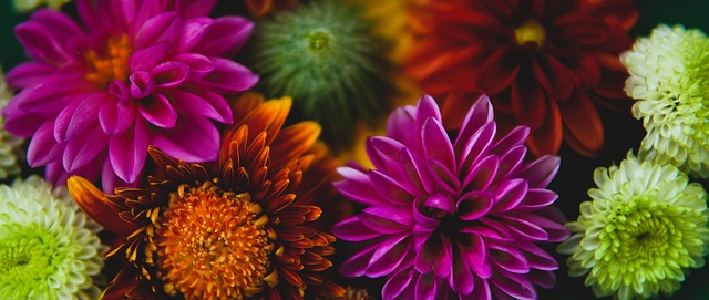 亨利对于法 亨利对于法