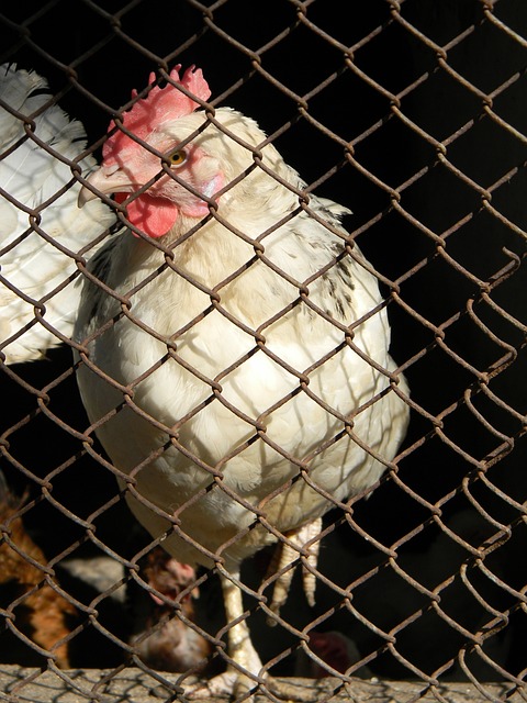 把这类特效 把这类特效