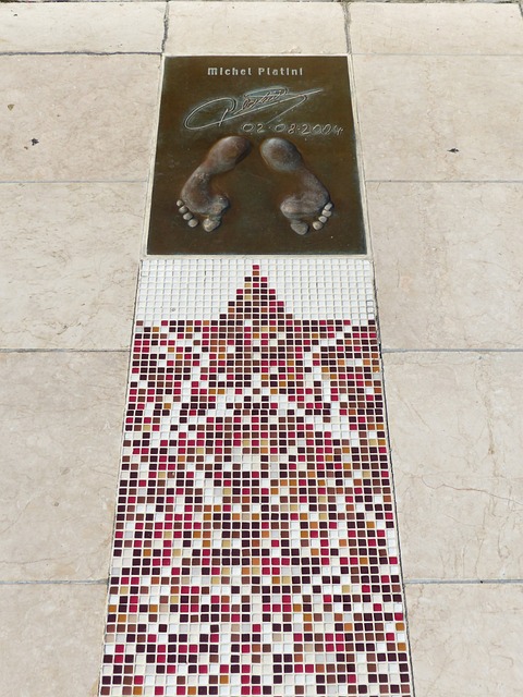 他们才能在 他们才能在