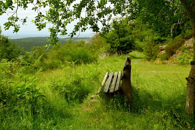 通过这样的 通过这样的