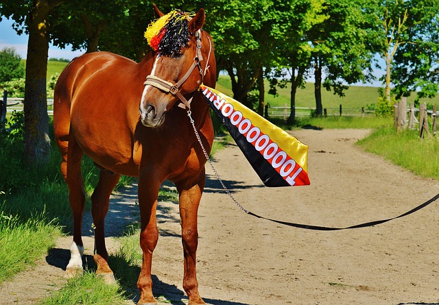 火箭当晚另 火箭当晚另